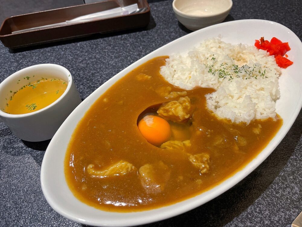 新大阪駅の絶品カレー7選！駅構内の人気店や本格スパイスカレーの名店も！