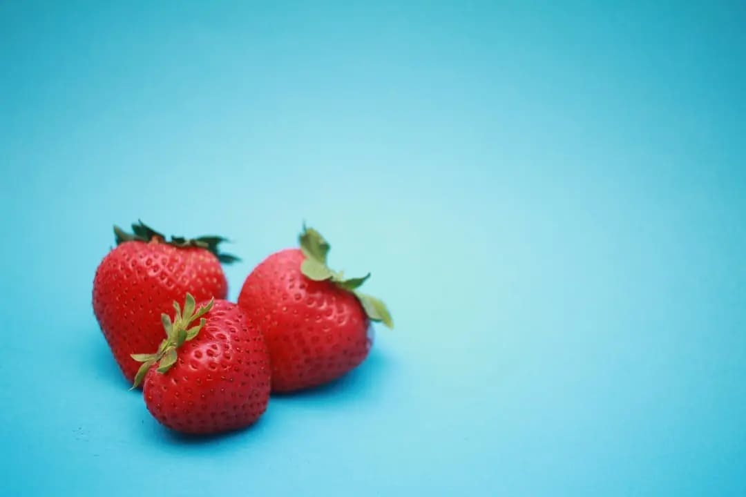 3月が旬の食材｜野菜や果物・魚介類を美味しく食べるおすすめレシピも