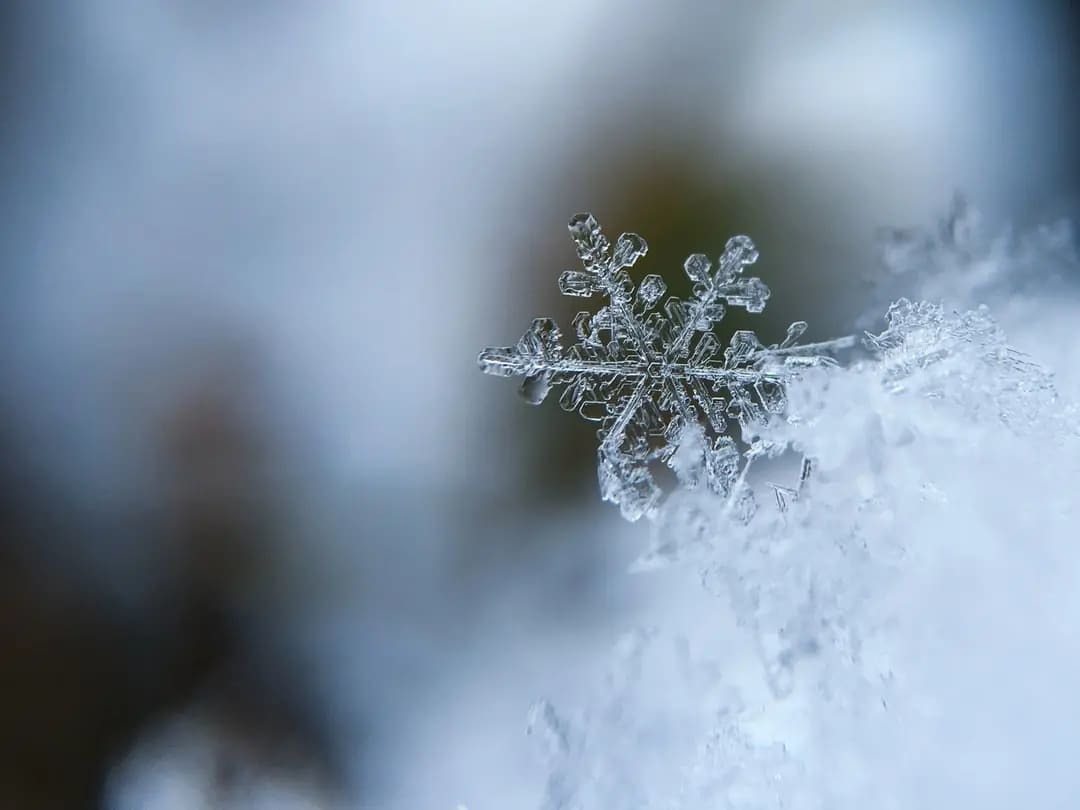 冬生まれの女の子の名前125選！雪や冬の自然をイメージさせる