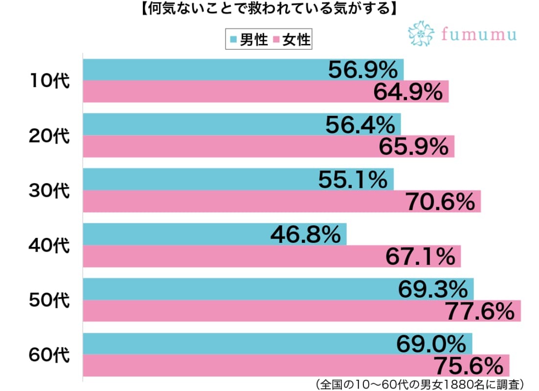 帰り道で見かける野良猫に…何気ないけれど救われている存在