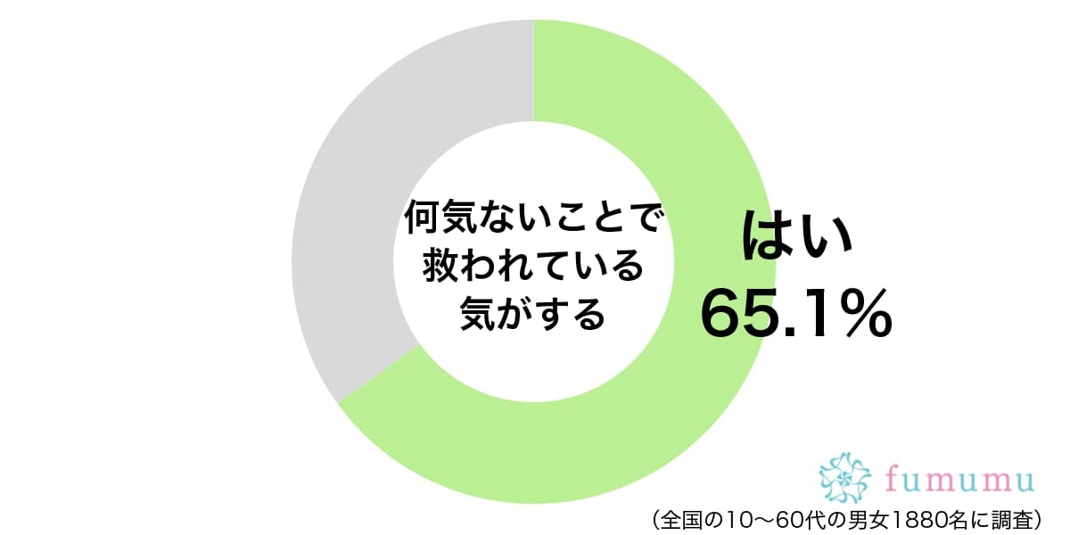 帰り道で見かける野良猫に…何気ないけれど救われている存在