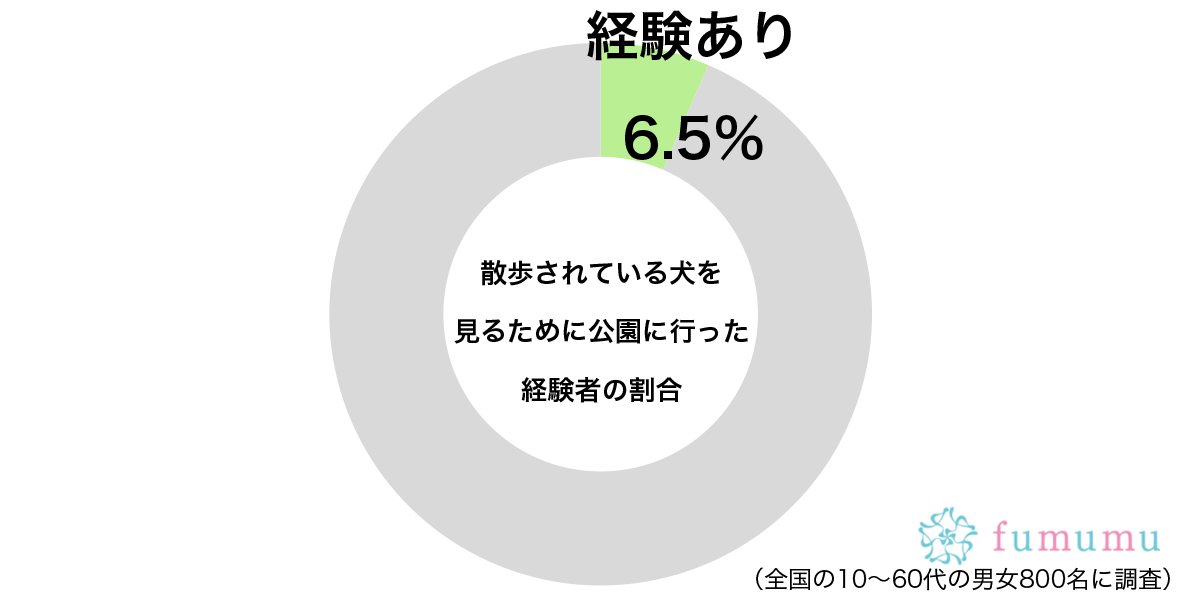 癒やされたいので…　約1割が「散歩されている犬」を見るために行く場所とは