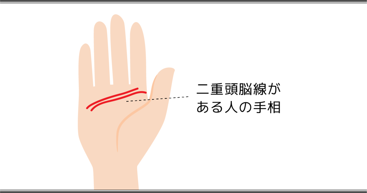 頭脳線（知能線）の見方とは？ 枝分かれや支線を解説【手相占い】