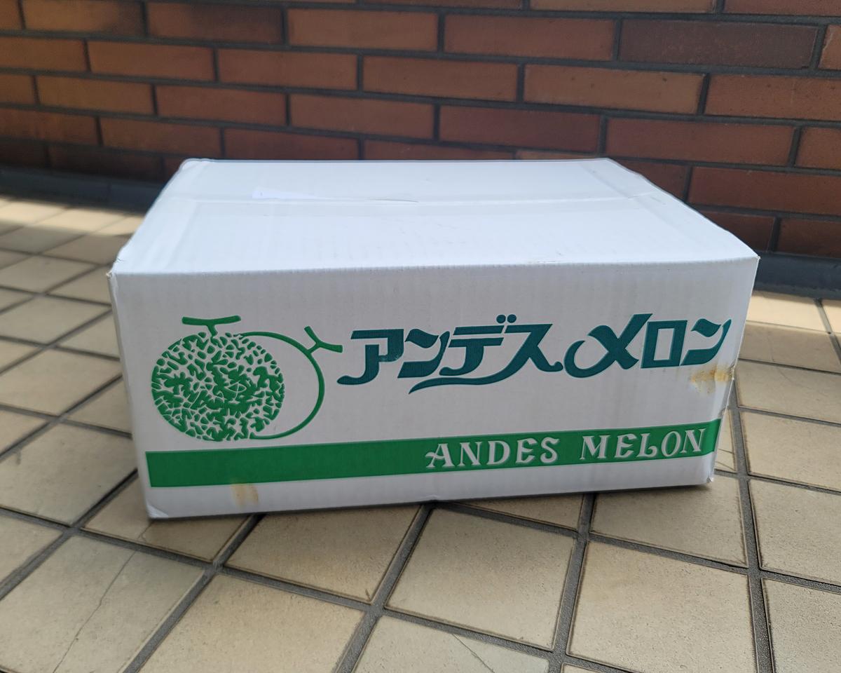 メルカリで野菜・フルーツが安く買える。激安メロンを買ってみたら弱点も見えてきた