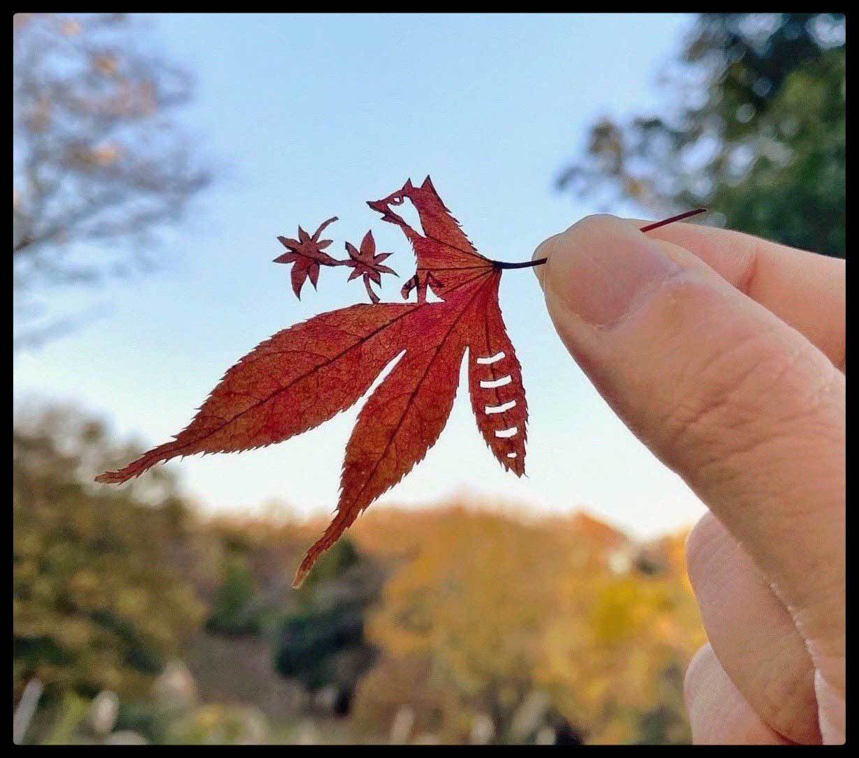 「葉っぱ切り絵」がすごい！作者でADHDのリトさんに聞く作り方