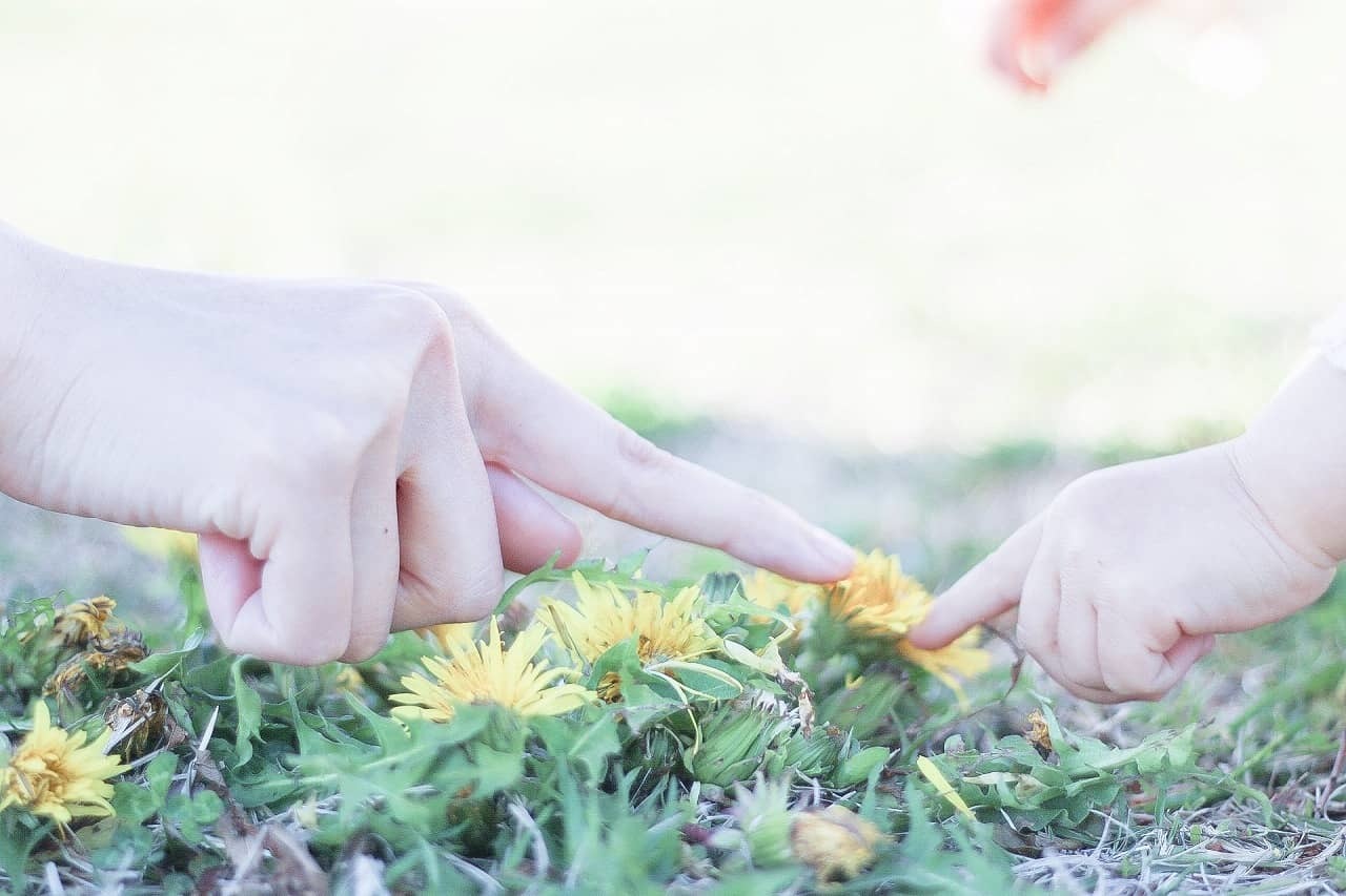 花をモチーフにしたかわいい女の子の名前は? 植物や自然をイメージするおすすめの名前152選!