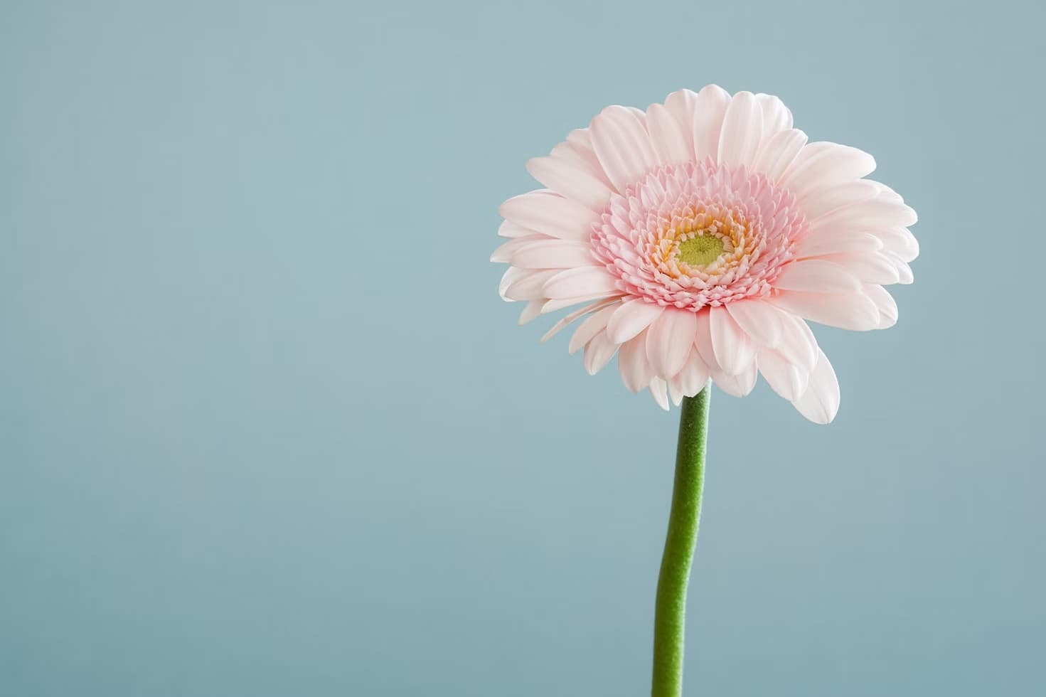 消えた芸能人・干された芸能人まとめ！なぜテレビで見かけなくなったのか解説！