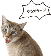 猫の耳はココがすごい！【猫のからだセミナー　耳編】