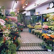 枚方市のおしゃれな花屋25選！便利な駅前店やアレンジ花束が人気な店も！