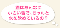 猫の「舌」は人とどう違うの？【猫のからだセミナー舌編】