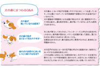 犬の「鼻」についてどれだけ知ってる？　【犬のからだセミナー　鼻編】