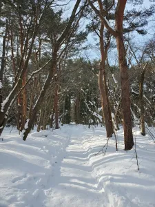 旅の途中で車中泊