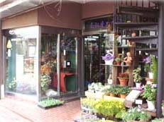 深谷市のおしゃれな花屋10選！便利な駅前店やアレンジ花束が人気な店も！