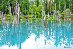 【北海道】美しすぎる絶景『湖』17選｜透明度日本一や世界遺産の湖も！