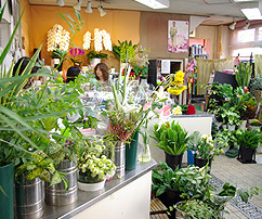 尾道市のおしゃれな花屋11選！便利な駅前店やアレンジ花束が人気な店も！