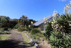 植物の宝庫【筑波実験植物園】！歩いていける絶品ランチ＆パン屋も紹介3.jpg