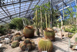 植物の宝庫【筑波実験植物園】！歩いていける絶品ランチ＆パン屋も紹介3.jpg