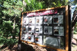 植物の宝庫【筑波実験植物園】！歩いていける絶品ランチ＆パン屋も紹介3.jpg