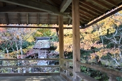 【兵庫県】丹波の紅葉名所の穴場！趣き抜群の「慧日寺」1.jpg