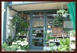半田市のおしゃれな花屋10選！便利な駅前店やアレンジ花束が人気な店も！