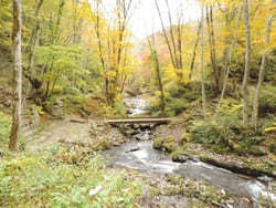 【岐阜:飛騨】紅葉と滝の絶景！「宇津江四十八滝」1.jpg