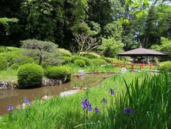 滋賀の名刹「石山寺」を参拝！名物グルメも味わおう1.jpg