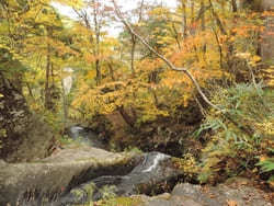 【岐阜:飛騨】紅葉と滝の絶景！「宇津江四十八滝」1.jpg