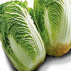 秋冬は鍋の季節! 鍋料理に欠かせない具材ランキング