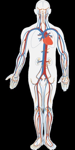 17skin高濃度炭酸パックの口コミを調査！化粧品検定1級取得者が正直レビュー