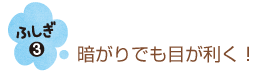 猫の目は不思議がいっぱい！【猫のからだセミナー　目編】