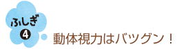 猫の目は不思議がいっぱい！【猫のからだセミナー　目編】