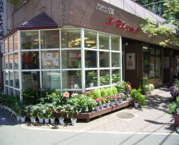 仙台市青葉区のおしゃれな花屋25選！便利な駅前店やアレンジが人気な店も！
