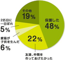 気になる多頭飼い大調査！ みんなで仲良く暮らすには？