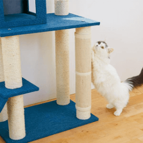 【専門家監修】キャットタワーで猫に快適なお部屋づくりを