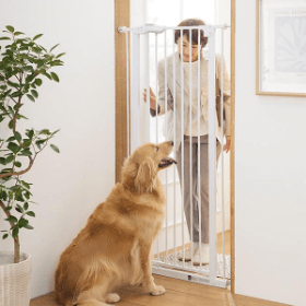 【専門家監修】サークル・ケージ＆ゲートで犬と飼い主さんに快適なお部屋づくり