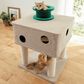 【専門家監修】キャットタワーで猫に快適なお部屋づくりを