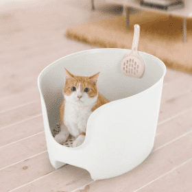 【専門家監修】子猫のトイレのしつけ方・選び方・置き方は？それぞれのポイントや注意点を解説