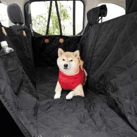 【専門家監修】今日はどこへ行こうか　愛犬との快適ドライブを叶えるための3つのポイントとおすすめドライブグッズを紹介