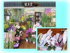 上越市のおしゃれな花屋10選！便利な駅前店やアレンジ花束が人気な店も！