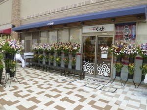 みなとみらいの回転寿司全5店！回らないけど安くて旨い高コスパな店も！