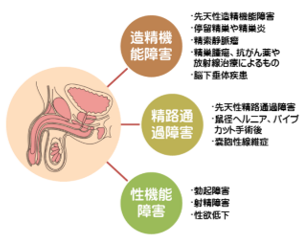 精子力を高める、8つの生活習慣とは？女性も知っておきたいポイント