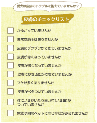 人とどこが違うの？「皮膚」の構造【犬のからだセミナー 皮膚編】