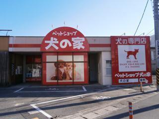 岡山市のペットショップ17選！お気に入りが見つかる大型店やサロン併設店も！
