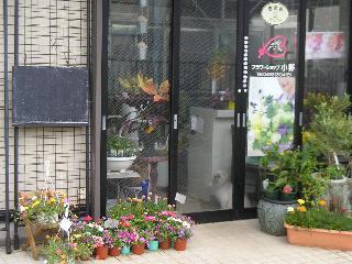 平塚市のおしゃれな花屋17選！便利な駅ナカ店やギフト向けショップも！
