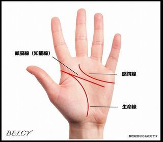 【手相占い】ラッキーM（向いているのM）の意味って？左右にあれば超幸運？