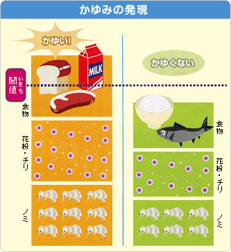 かゆい皮膚病にどう対処する？