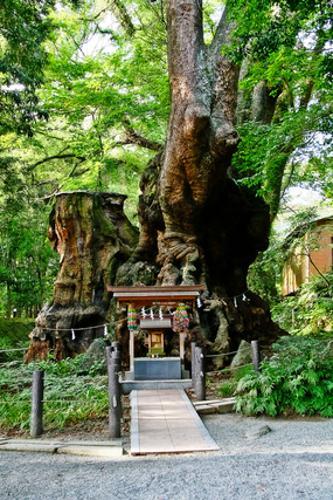 神社の相性の調べ方！誕生日や風・地・火などの属性を利用する方法を紹介！