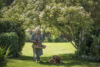 69歳のパリマダム、12平米の屋根裏部屋ぐらしがステキ。中村江里子が憧れるマダムたち