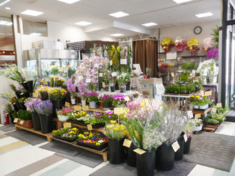 西尾市のおしゃれな花屋13選！便利な駅前店やアレンジ花束が人気な店も！