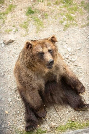 かわいい動物から絶叫アトラクションまで！楽しさ山盛りの「姫路セントラルパーク」を遊び尽そう